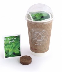 Kit de plantation publicitaire avec pot biodégradable Cupseed