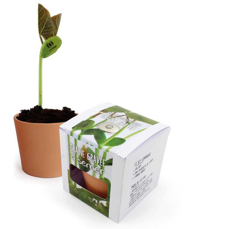 Kit plantation publicitaire avec graine logoté Seedtatoo